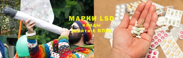 ГАЛЛЮЦИНОГЕННЫЕ ГРИБЫ Кукмор