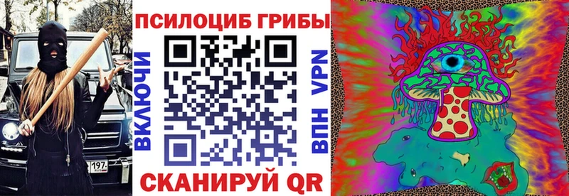 Галлюциногенные грибы Psilocybe  купить  сайты  Нерехта 